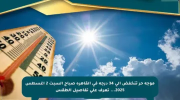 موجة حر تنخفض إلى 34 درجة في القاهرة صباح السبت 2 أغسطس 2025… تعرف على تفاصيل الطقس